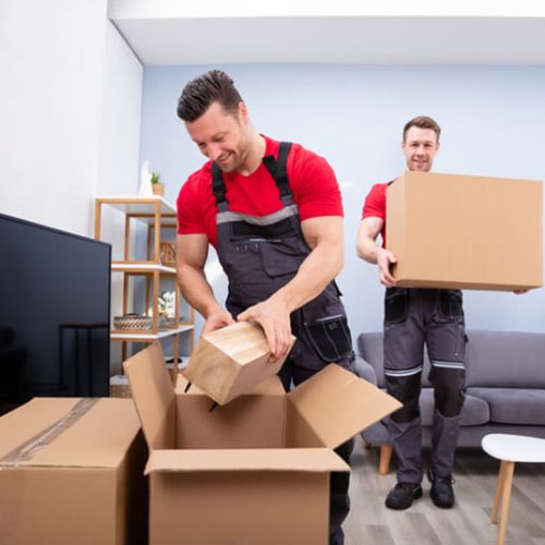 Packing and Unpacking Services